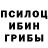 Псилоцибиновые грибы Magic Shrooms Gera Kasperskaya