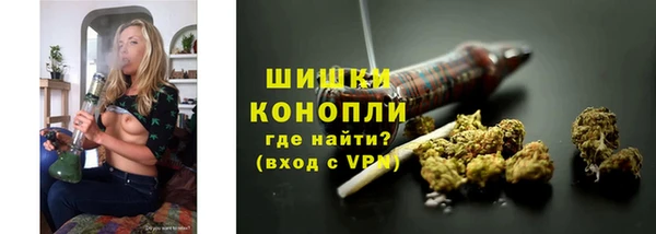 мяу мяу мука Беломорск