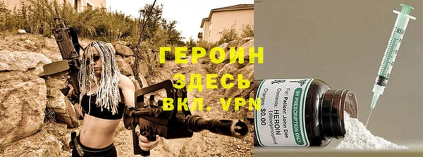 индика Осинники