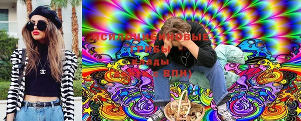 гидропоника Белоозёрский