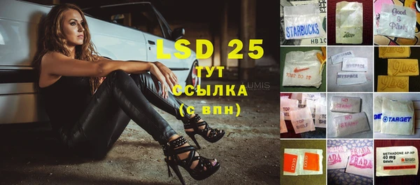 индика Осинники