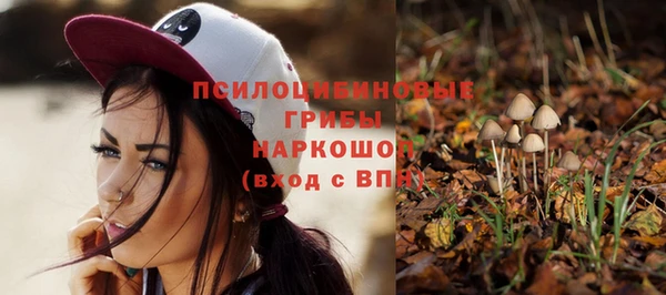 гидропоника Белоозёрский
