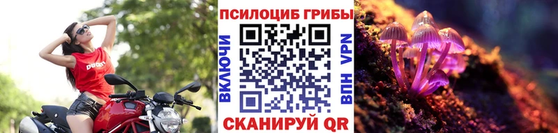 Псилоцибиновые грибы ЛСД  Кодинск 